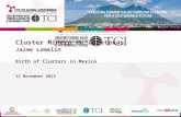 TCI 2014 Cluster Minero de Zacatecas