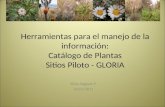 Herramientas para el manejo de la información:Catálogo de Plantas. Sitios Piloto - GLORIA. Silvia Salgado