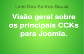 Visão geral sobre os principais CCKs para Joomla. JoomladaySP2013