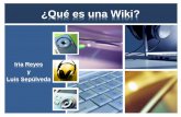 ¿Qué es la wiki?