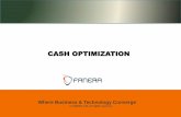 Fanera ltd cash optimisation