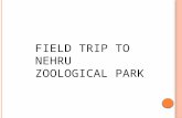 Nehru zoological park