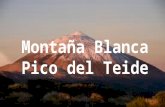 Montaña blanca – Pico del Teide (nº7)