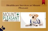 A Range of Pet Healthcare Services at Mount Pleasant