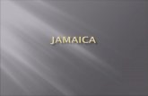 Jamaica Project