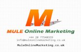 Mule Online Marketing Marketing for Accountants PowerPoint