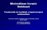 Dr. Ledniczky György - Minimálisan invazív sebészet