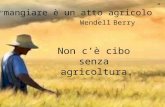 "Non c'è cibo senza Agricoltura" classe 3B I.C.Ramati Cerano Novara