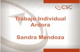 Trabajo Individual con Ardora de Sandra Mendoza