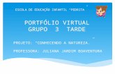 Portfolio Virtual G3-Tarde