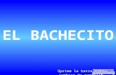 El bachecito 11669-11669
