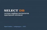 Select Db - система подбора контрагентов аудиторской компании