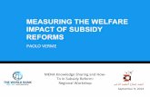 Measuring the Impact of Subsidy Reforms (EN)