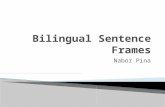 Bilingual Sentence Frames