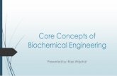Core Concepts of Biochemical Engineering