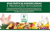 Ricardo Machado - “Registro, pesquisa e desenvolvimento de bioinsumos” - Boas Práticas Agropecuárias e Produção Integrada - De 11 a 14 de novembro de 2014, em Foz do Iguaçu/PR.