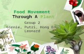 Food movement