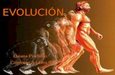 Daiana Piccolini t.p :evolucion.