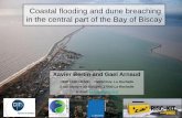 IAHR 2015 - Coastal flooding and dune breaching in the central part of the bay of Biscay, Bertin, 30062015