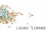 Laura Simard Visual Resume