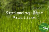 Strimming best practices