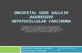 Oncofetal Gene SALL4
