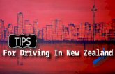 Tips For Driving  In New Zealand
