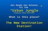 The Urban Jungle