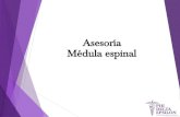 Asesorías Phi Delta Epsilon - Médula Espinal