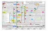 TSR Local Lines - Downtown Plan