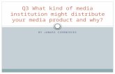 Q3 what kind of media institution might distribute
