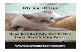 Top 10 Tips: How Do I Get My Cat To Use Their Scratching Post?