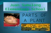 Jses( parts of a plant )
