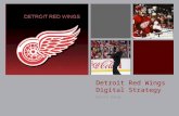 NMDL Final Project - Detroit Red Wings - Brynne Ewing