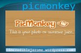 How to use picmonkey by jerome vilamor
