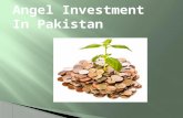Need for Angel investment in Pakistan