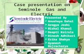 Seminole Gas and Electric