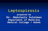 Leptospirosis  dr.saeid