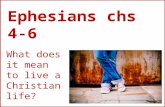 Ephesians 4-6