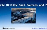 Electric utility fuel sources and prices