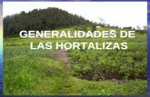 Generalidades de-las-hortalizasmod2007
