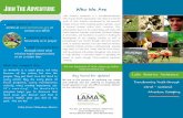 LAMA Outreach Brochure