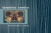 Sinusitis cronica