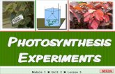 Integrated sc M1 Photosynthesis Experiments