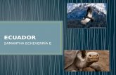 Ecuador, mejor destino turístico