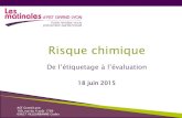 Diaporama matinale d'AST Grand Lyon "Risque chimique : de l'étiquetage à l'évaluation" 18 juin 2015