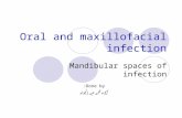 Oral and maxillofacial spaces of infection