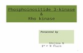Phosphoinositide 3 kinase