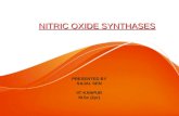 Nitric oxide synthases sajal sen