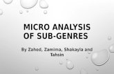 Micro analysis of sub genres
